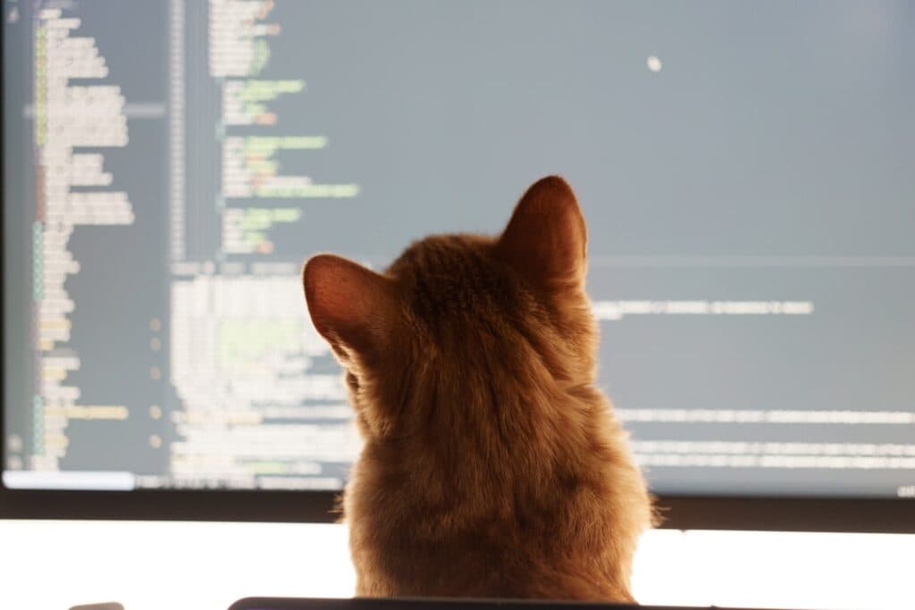 48h Tech Audit: what you get and how to decide what to fix next